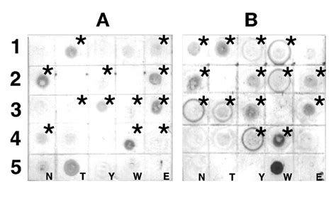 Detection of Taura Syndrome Virus (TSV) and Yellow Head Virus .